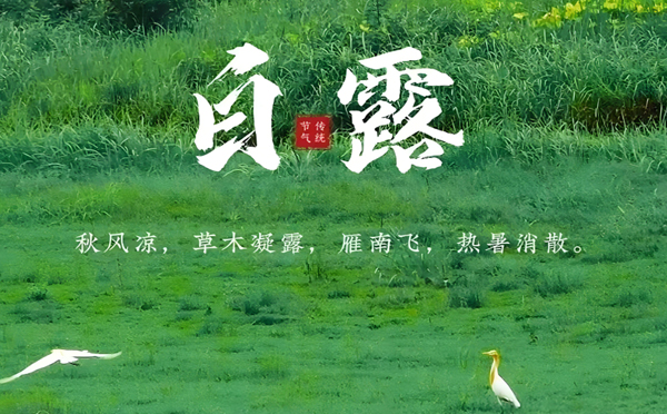 岷县白露润秋，致兴立群与您共筑坚固未来